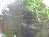 image of grave number 174244